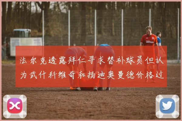 法尔克透露拜仁寻求替补球员但认为武什科维奇和扬迪奥曼德价格过高