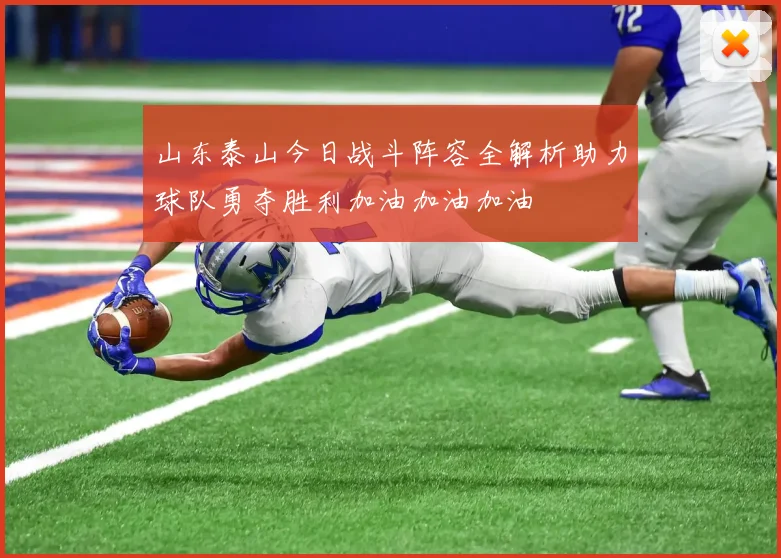 山东泰山今日战斗阵容全解析助力球队勇夺胜利加油加油加油