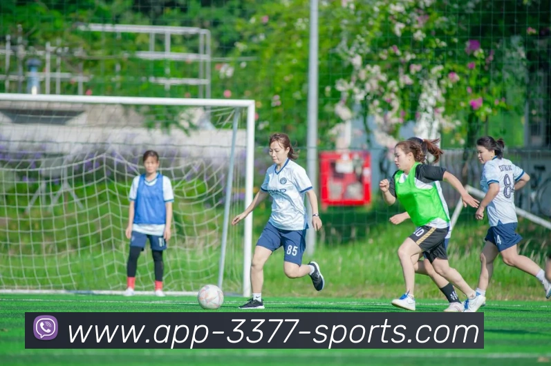 3377体育APP 高清赛事图