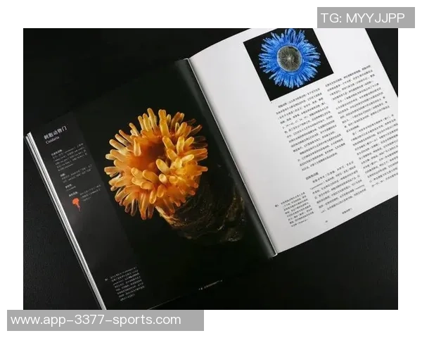 维金斯期待亲历多样物种之地探索宇宙奥秘与生命的奇迹 维金斯期待亲历多样物种之地探索宇宙奥秘与生命的奇迹